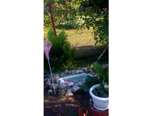 P 20160528 174217.jpg