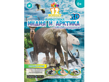 ����� ��� �������� ����� � ������� �4 �������� 143,00.jpg