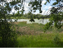 DSCN2432.JPG