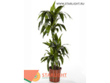 ������� ������ ����� (120) 2 995.00