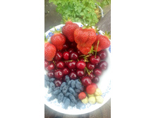 ������� ��������� 2016 ������� ���������,���������