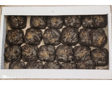 ���������� � ��������.jpg