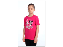 Big cat 8f247b12b4754136ab5d995dddd211f3.png