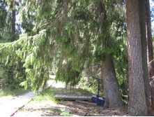 IMG 2841.JPG