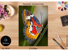 ������ ��������� - 891 ���.