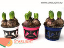 ������� (15) 195.00