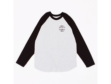 750� �������� Anteater.jpg