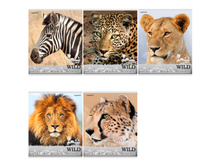 ������� 48�. �5 ������ �������� ��� ������, �������� �������� 22,02.jpg