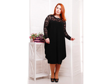 ������ CI ����