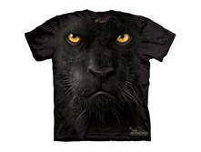 Productvar 43464.jpg