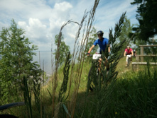 ��������  (35).JPG