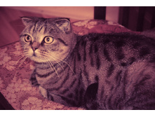 2014 ��� ������ ���� ����-2.jpg