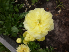 ���������� ������