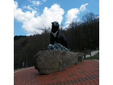 IMG 20160419 113837.jpg