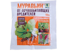 ��������(��� 50�) ������ ���