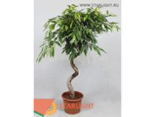 ����� ���� ������ ���� (180) 9 995.00