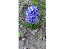 P 20160506 180610.jpg