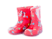 ������ �����������