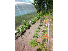 ���������� � �����������