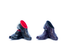 ������ ���