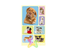 IMG dd9e909c48ac.jpg