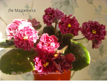 �� ��������