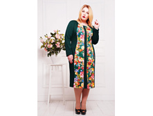 ������ CI ����