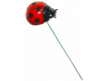 ����� �������. 35 ���. �� ��. ����������. ������ 6 �� 8 ��. ������ ����� 40 ��. ���� ����������.jpeg