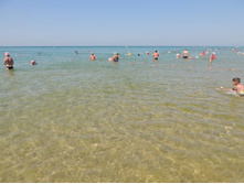 ���� ���� � ����