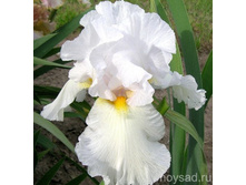 ���� ���������� ���� ������ ����130