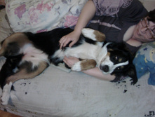 IMG 20160521 215649.jpg