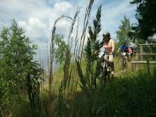 ��������  (34).JPG