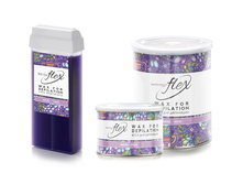 ������ ���� Flex ����.jpg