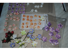 DSC 0575 ����� ������.JPG