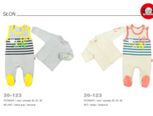 01-06-2016 11-55-41 page 31.jpg