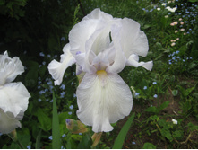 ����� � ��������� ��������, 100 �.