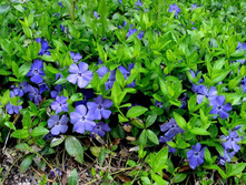 �������� 30 �