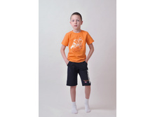 Phoca thumb l 1-836 1-849.JPG