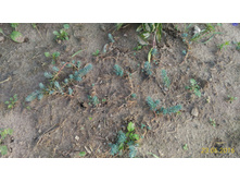 P 20160623 192544 1 p.jpg