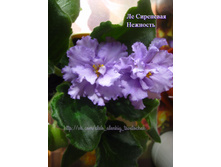 �� ��������� ��������