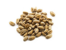 ������� ��� ������������ "������� ��������", 1 �� ������