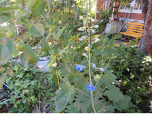 ����������