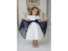 �351 ����� � �����.jpg