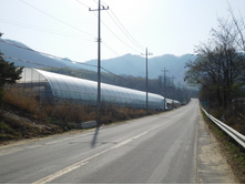 DSCN0649.JPG
