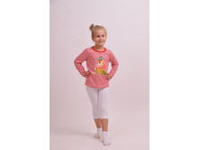 Phoca thumb l 20.jpg