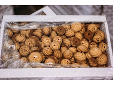 ������� � ���������� .jpg