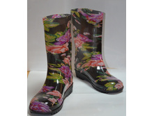 ������ ��� �������