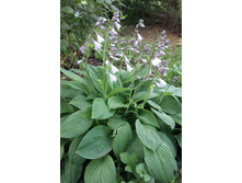 ����� No 2