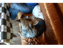 � �����.jpg