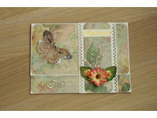 ������� ��� ����������� �����������